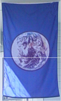 One World Flag